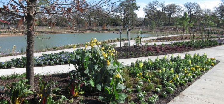 Houston Botanic Garden Botanic Garden Trail